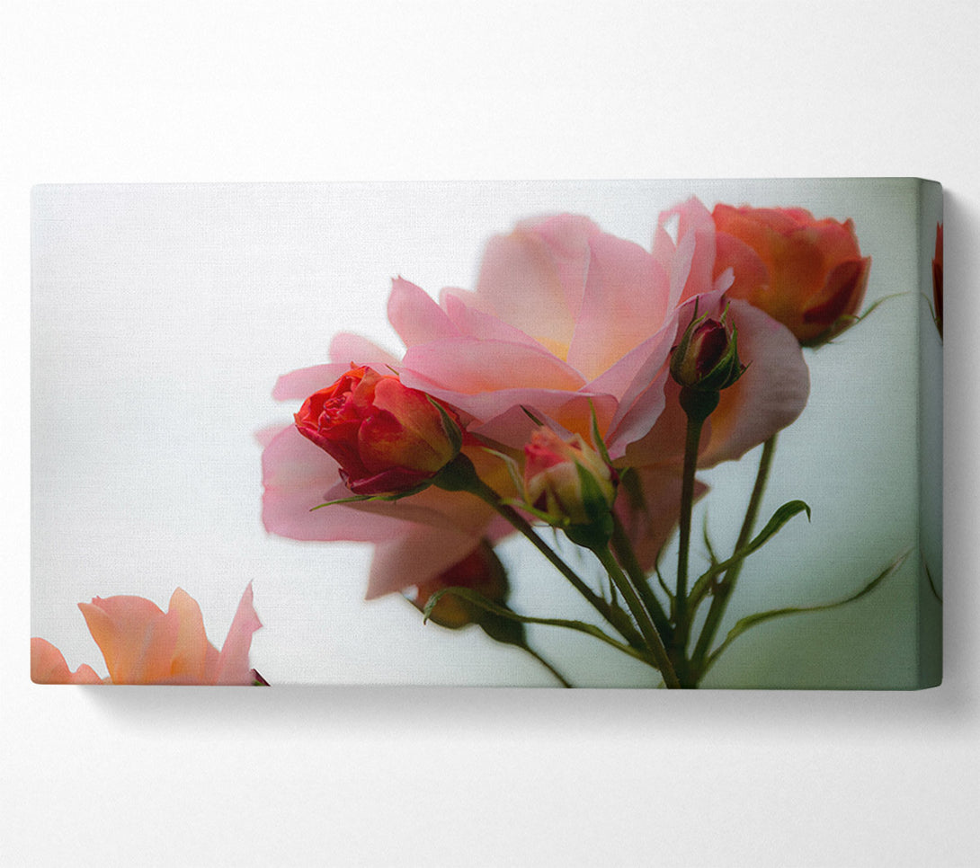  A Canvas Print of An array of pink flowers Canvas Print