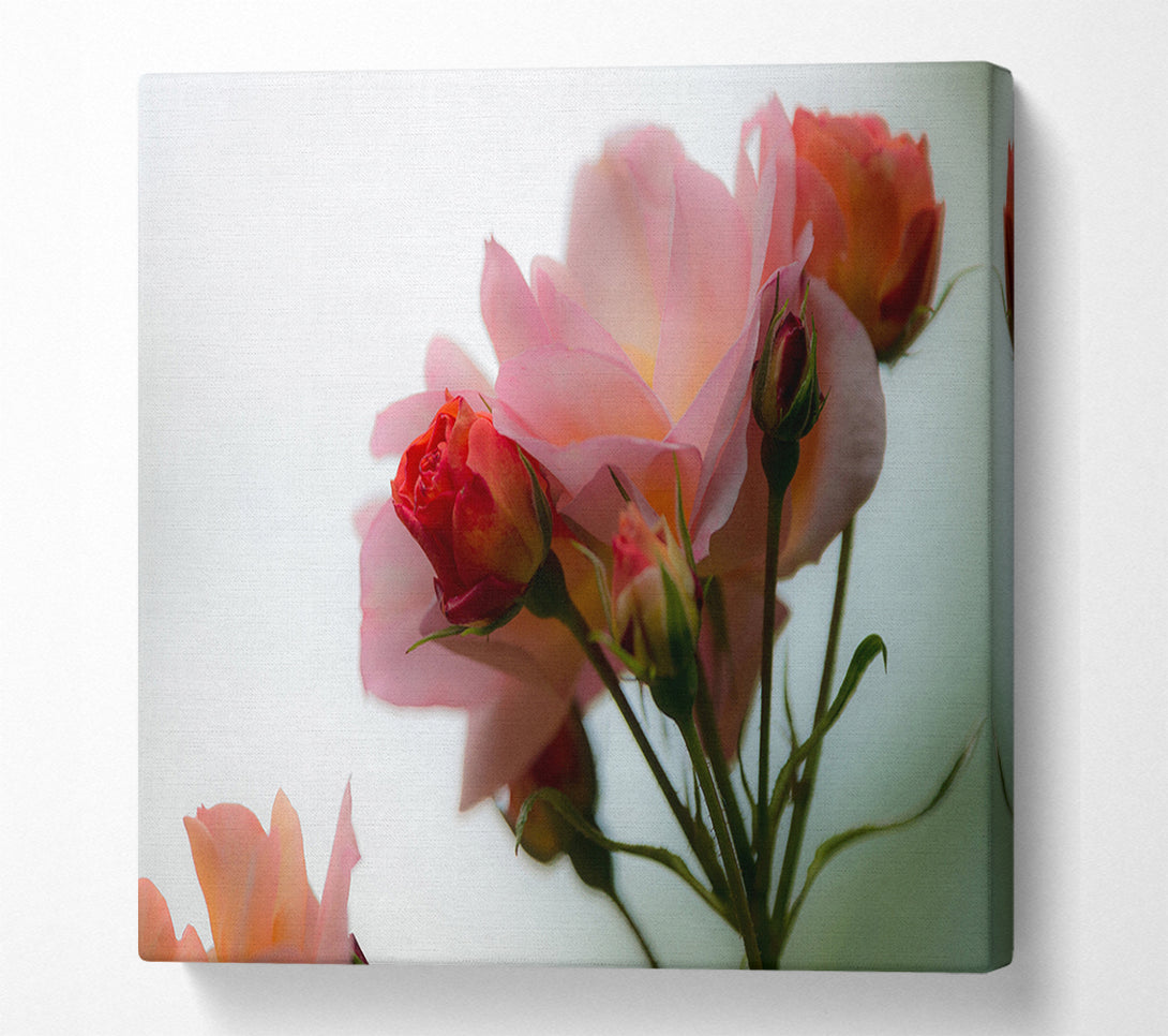  A Canvas Print of An array of pink flowers Canvas Print