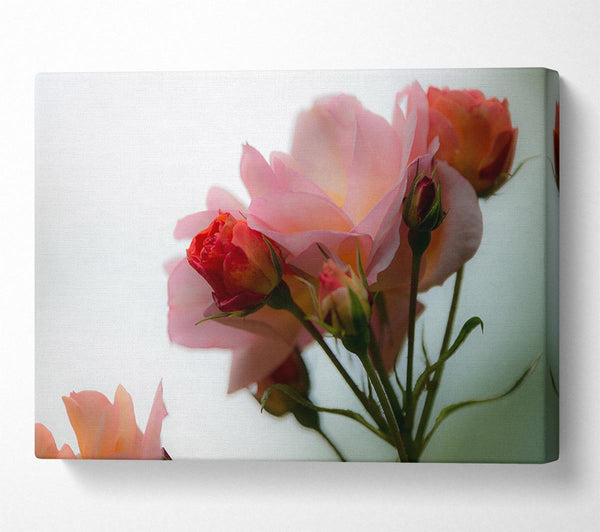  A Canvas Print of An array of pink flowers Canvas Print