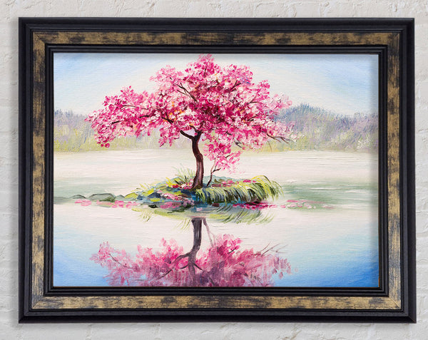 Lone Pink Blossom Tree Framed Print