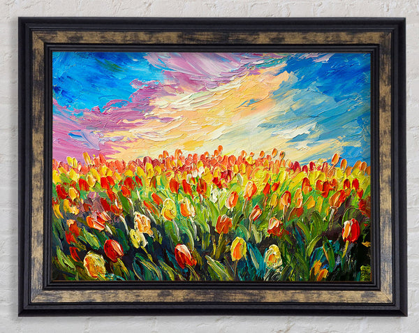 Field Of Stunning Tulips Framed Print
