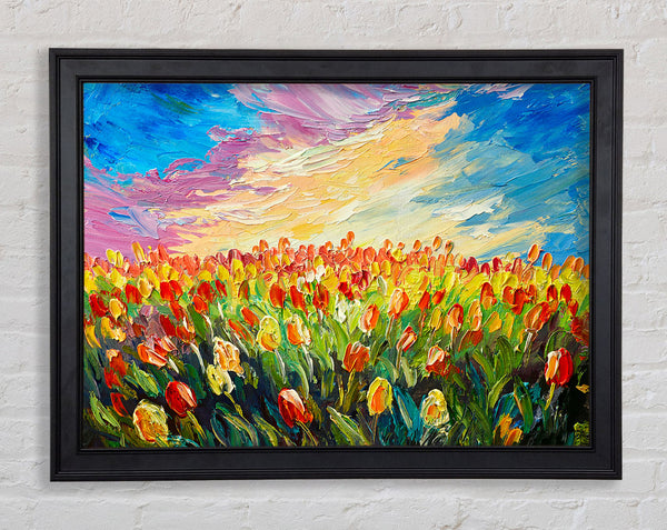 Field Of Stunning Tulips Framed Print