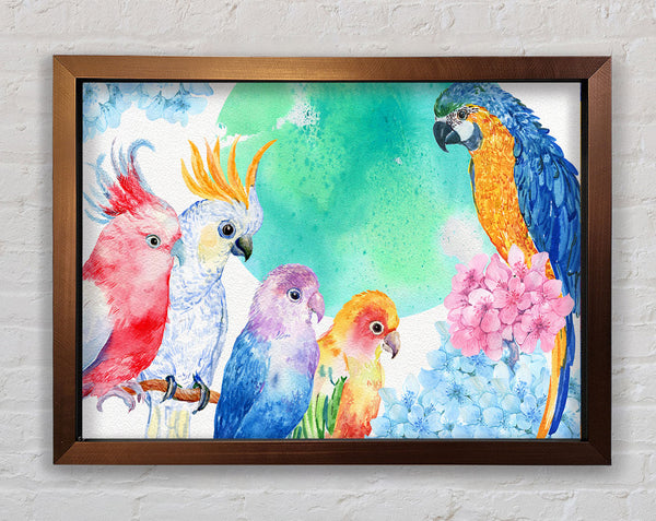 Array von Aquarell Papageien
