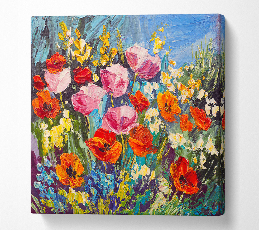  A Canvas Print of Mixed Poppies In The Sun Canvas Wall Art