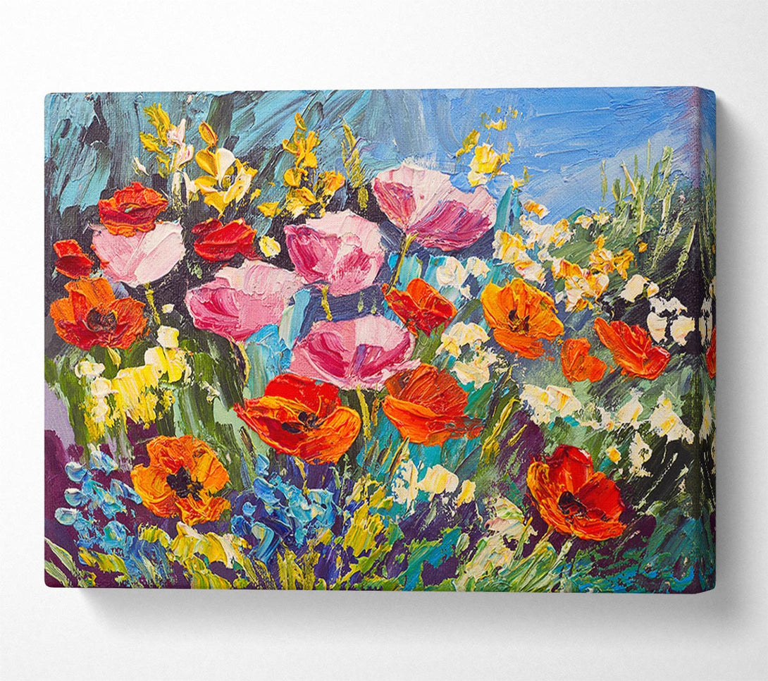  A Canvas Print of Mixed Poppies In The Sun Canvas Wall Art