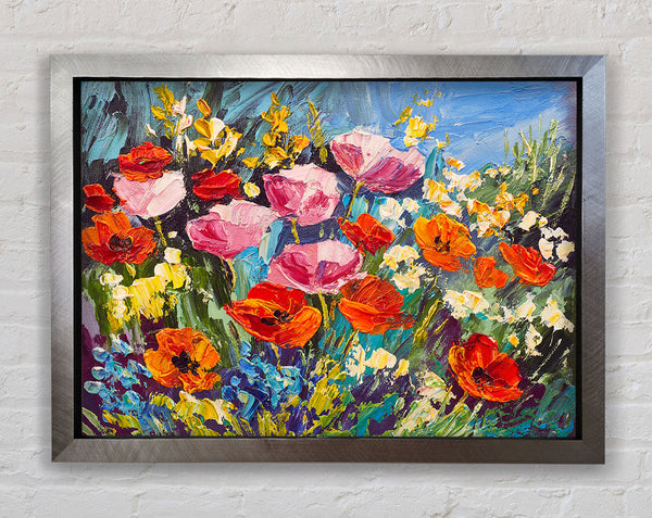 Mixed Poppies In The Sun Framed Print