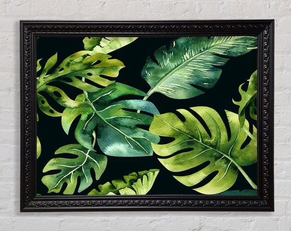 Monstera Mixed Leaves Framed Print
