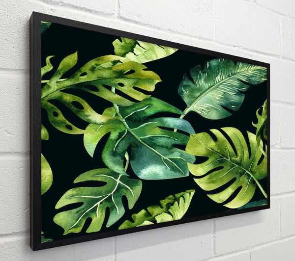 Monstera Mixed Leaves
