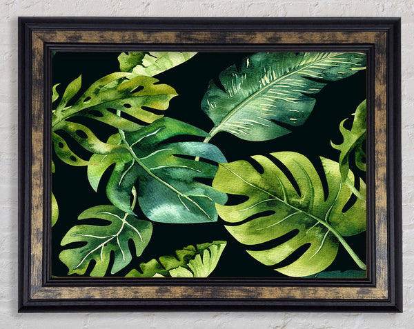 Monstera Mixed Leaves Framed Print