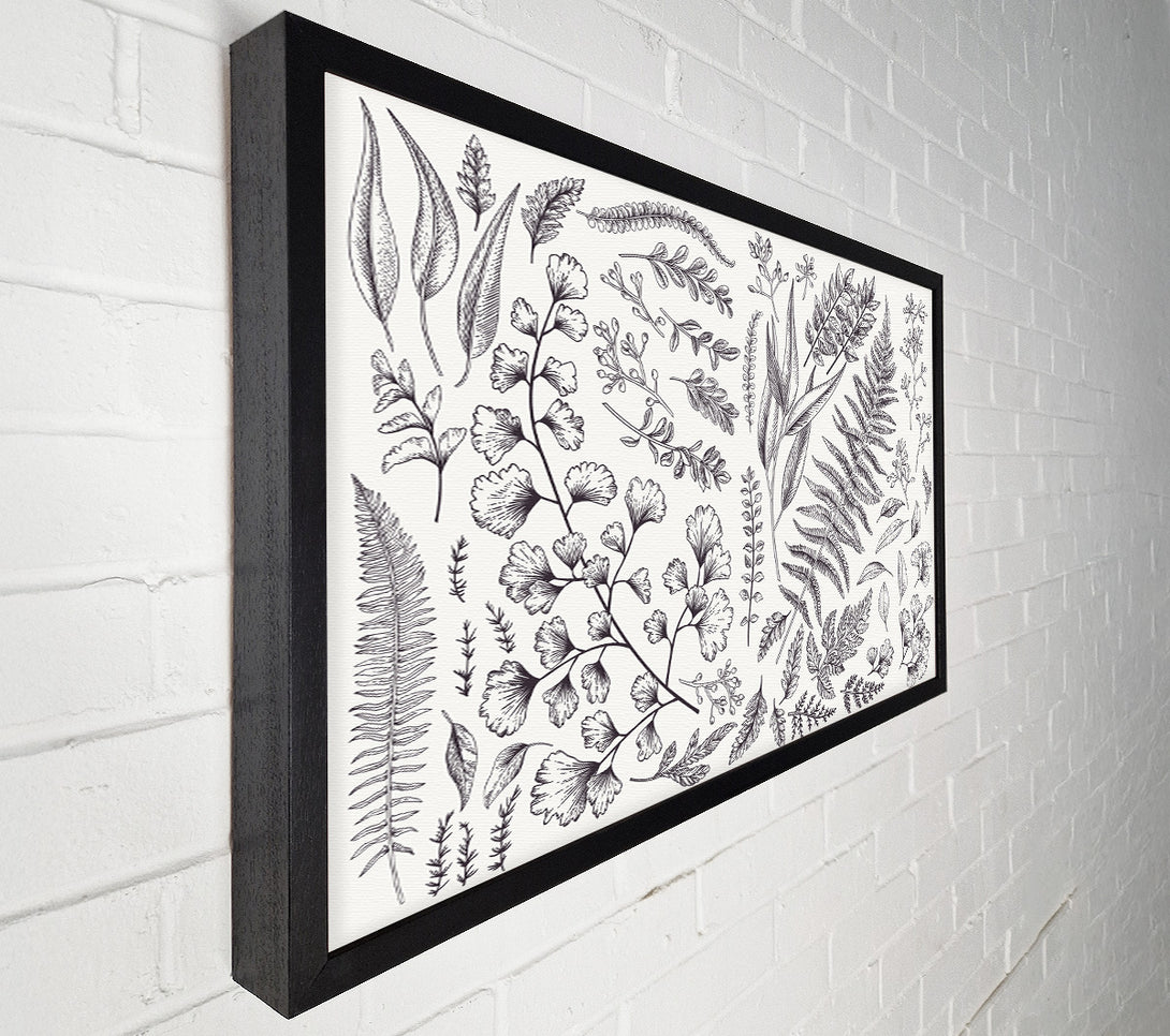  A Canvas Print of Natures Leaves Hand Drawn Canvas Art