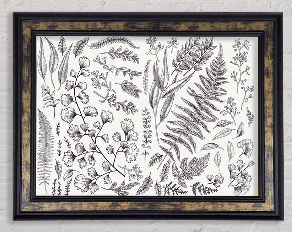 Natures Leaves Hand Drawn Framed Print