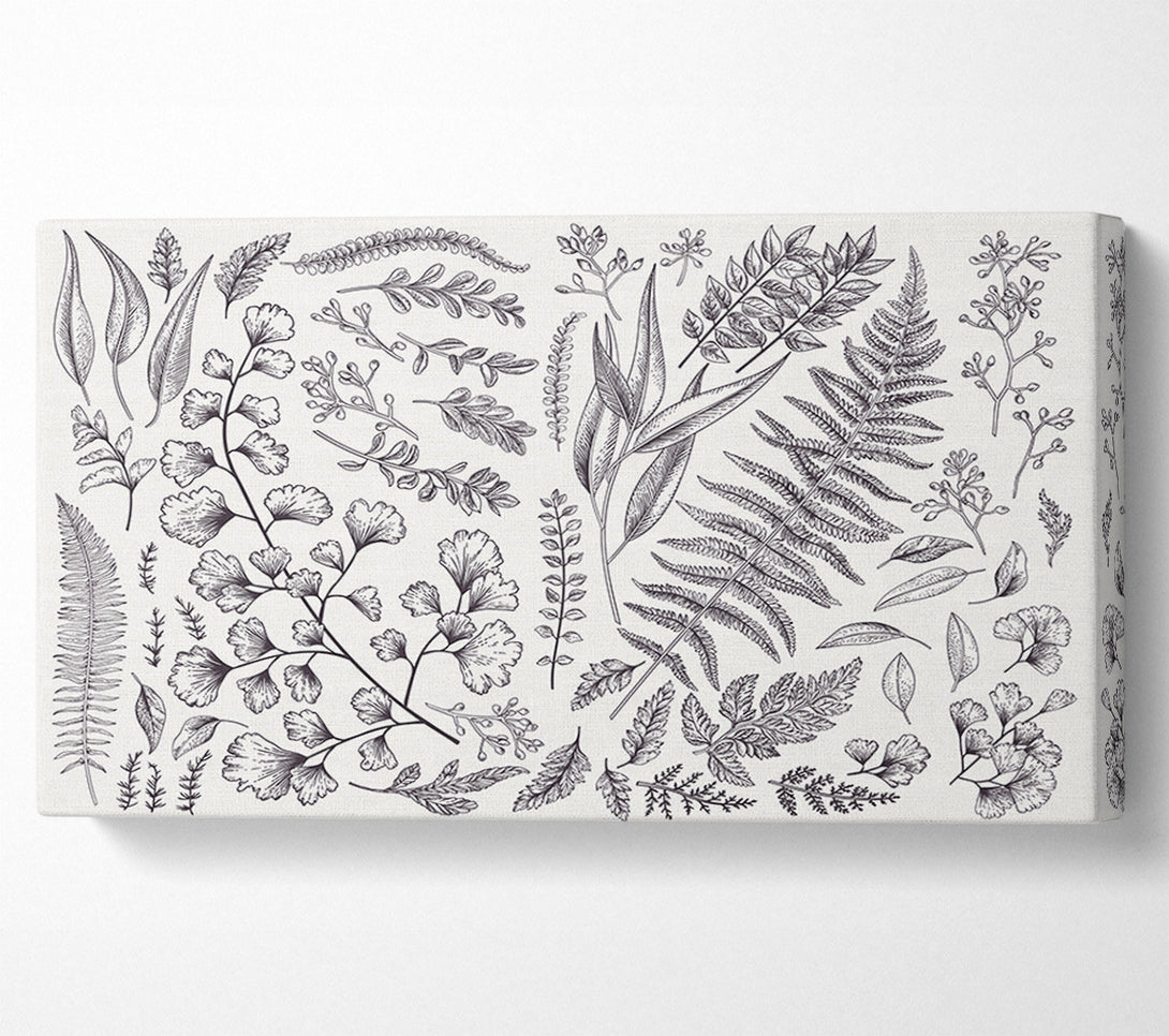  A Canvas Print of Natures Leaves Hand Drawn Canvas Art