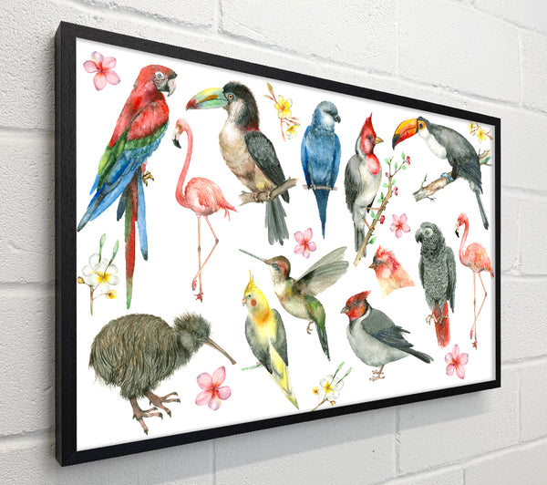A Collage Of Birds
