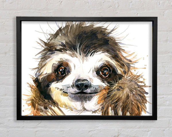 Water Colour Sloth Framed Print