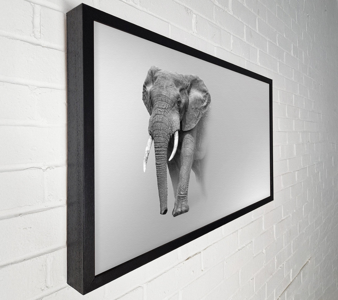  A Canvas Print of Elephant In The Mist Canvas Wall Art