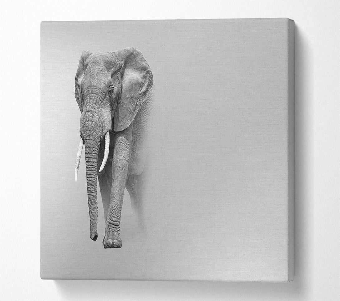  A Canvas Print of Elephant In The Mist Canvas Wall Art