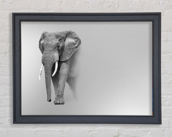 Elephant In The Mist Framed Print
