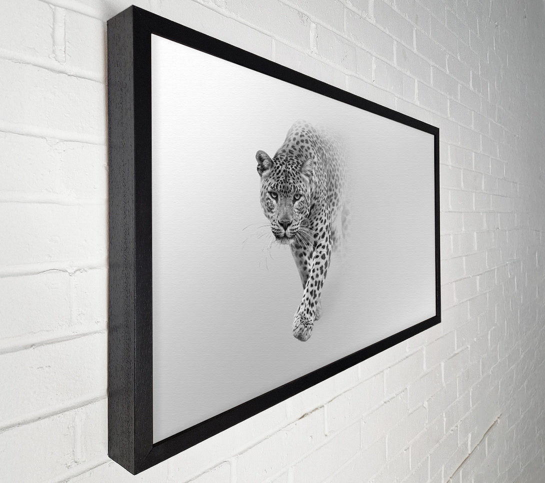  A Canvas Print of Leopard In The Mist Canvas Wall Art
