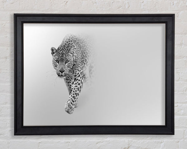 Leopard In The Mist Framed Print