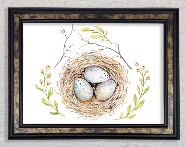 Three Eggs In A Nest Framed Print