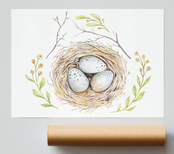 Three Eggs In A Nest Giclee Print