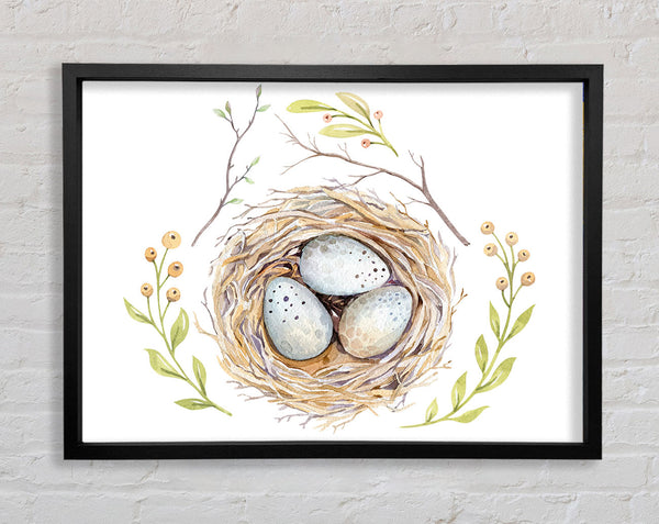 Three Eggs In A Nest Framed Print