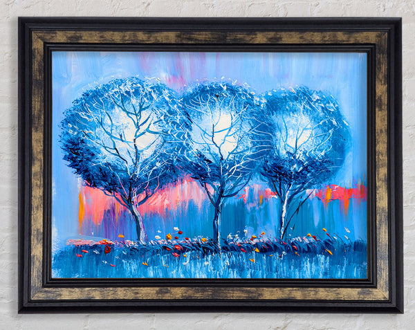 Three Blue Winter Trees Framed Print