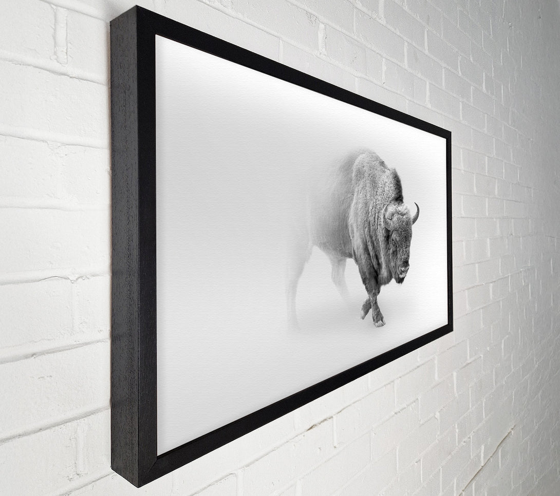  A Canvas Print of Bison In The Mist Canvas Print