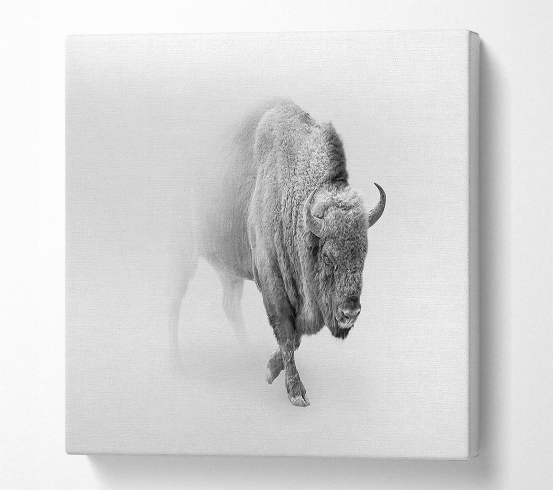  A Canvas Print of Bison In The Mist Canvas Print
