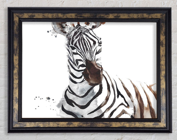 Zebta Splatter Framed Print