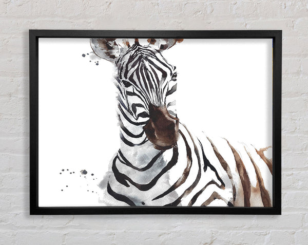 Zebta Splatter Framed Print