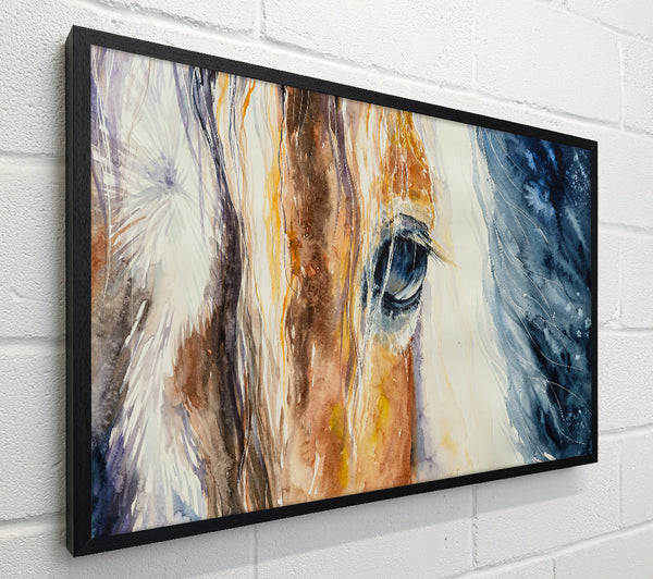 Deep Into Horses Eye