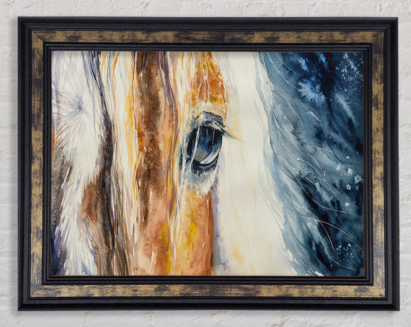 Deep Into Horses Eye Framed Print