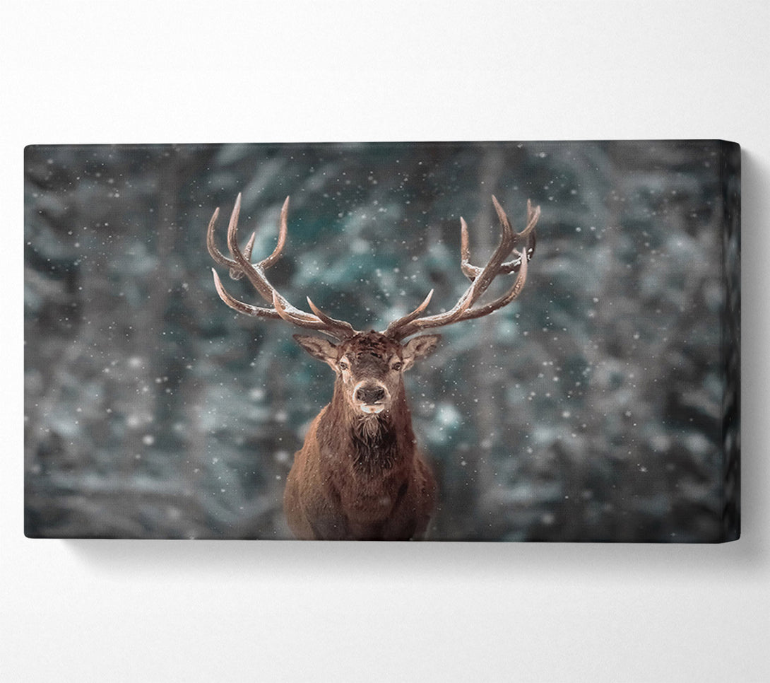  A Canvas Print of Stag In The Snow Canvas Wall Art