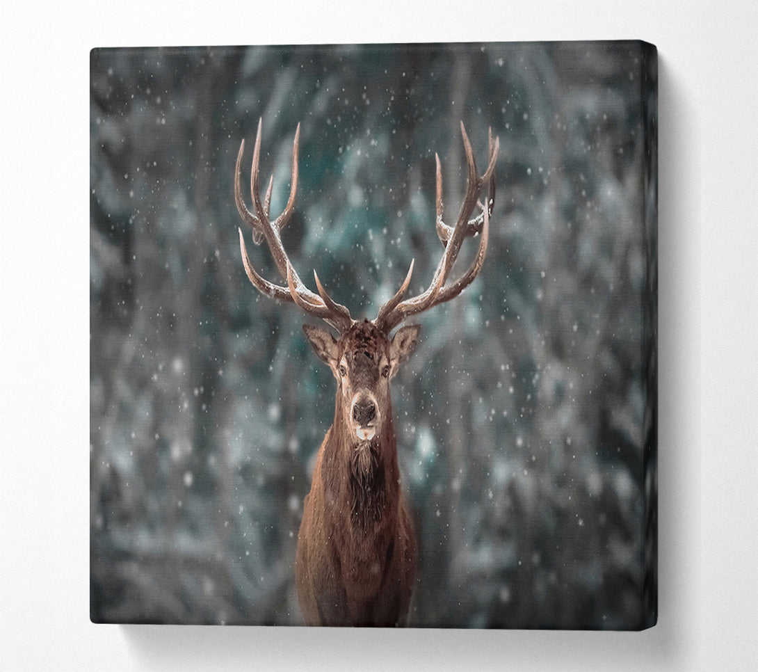  A Canvas Print of Stag In The Snow Canvas Wall Art