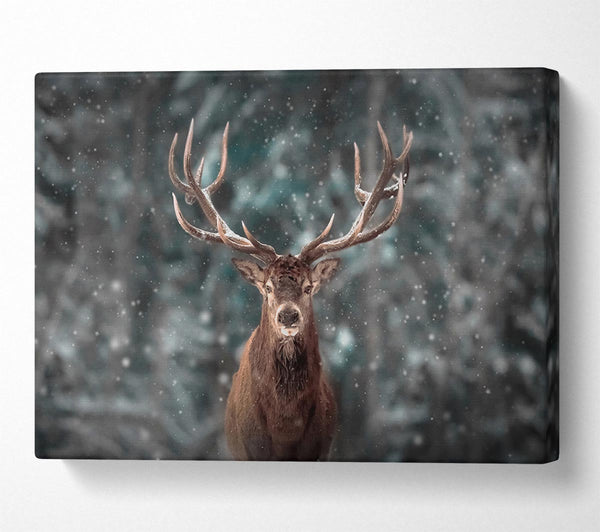  A Canvas Print of Stag In The Snow Canvas Wall Art