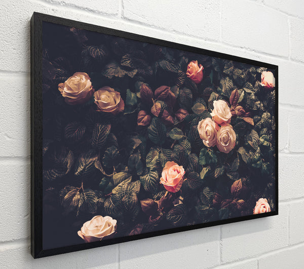 Pale Roses In Soft Greenery