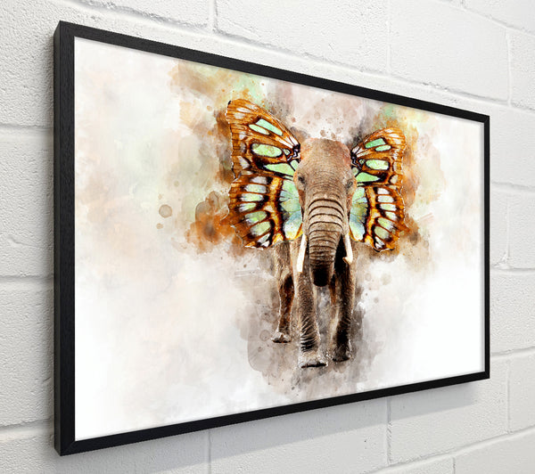 Elephant Butterfly Ears