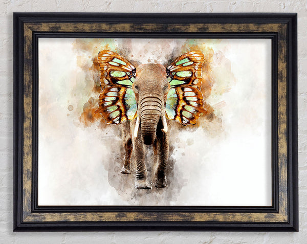 Elephant Butterfly Ears Framed Print