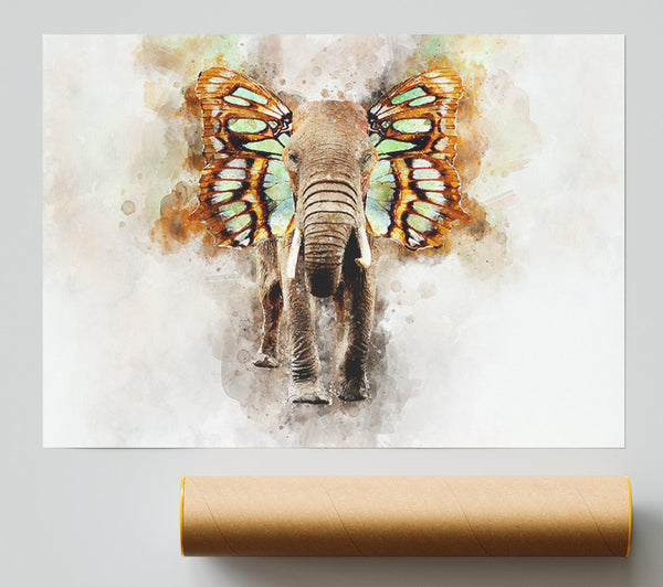 Elephant Butterfly Ears Print
