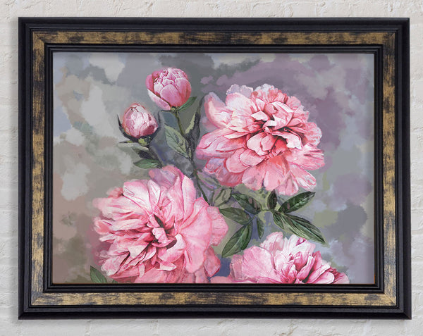 The Pink Carnation Framed Print