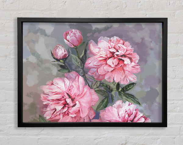 The Pink Carnation Framed Print