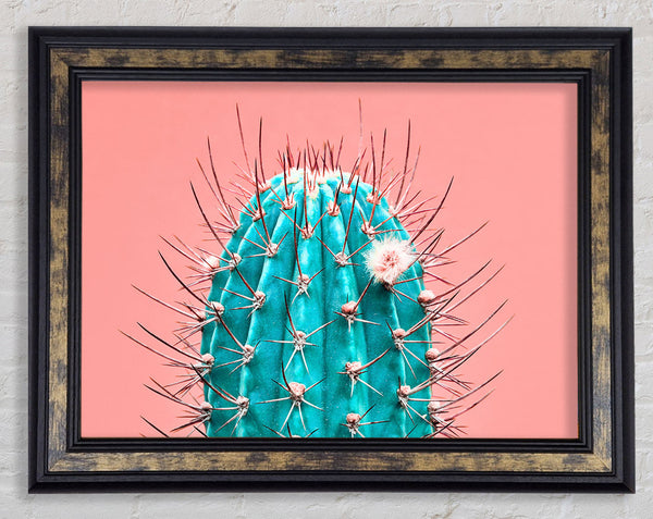 Teal Cactus Framed Print