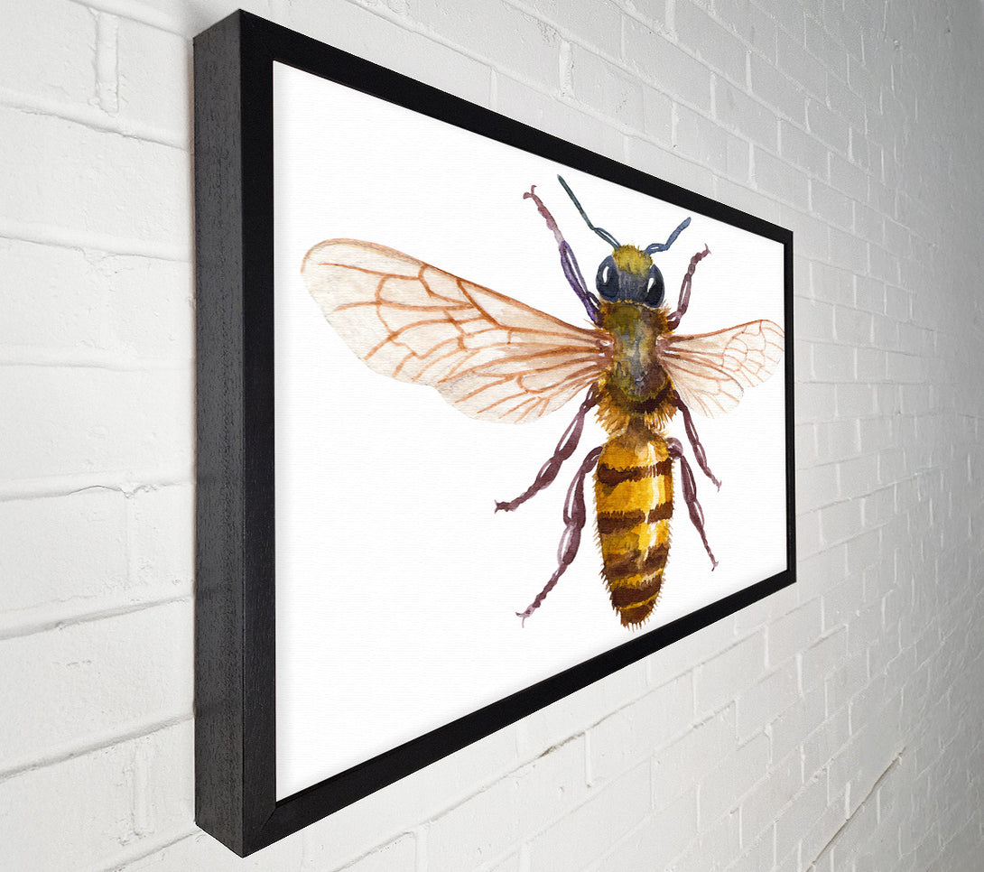 A Canvas Print of Watercolour Bee Canvas Print