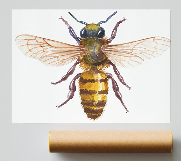Watercolour Bee Poster