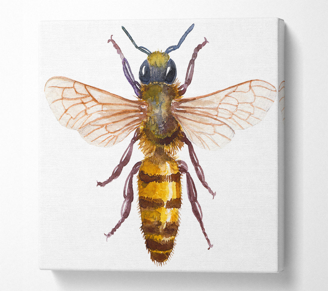  A Canvas Print of Watercolour Bee Canvas Print
