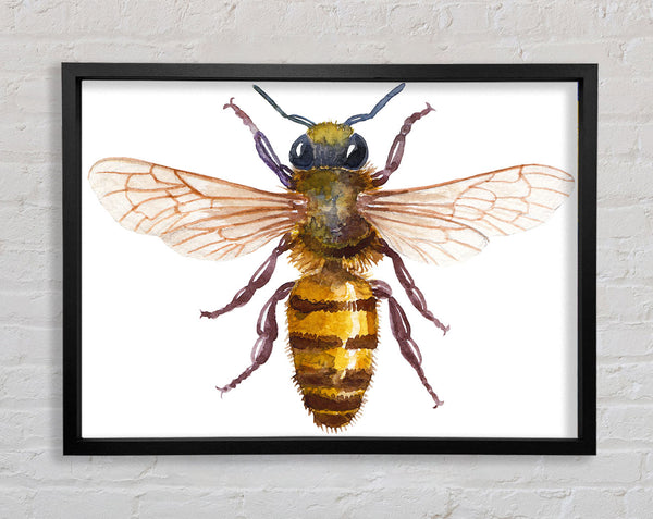 Watercolour Bee Framed Print