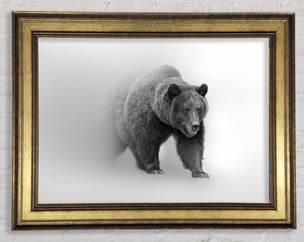 Bear In The Mist Framed Print