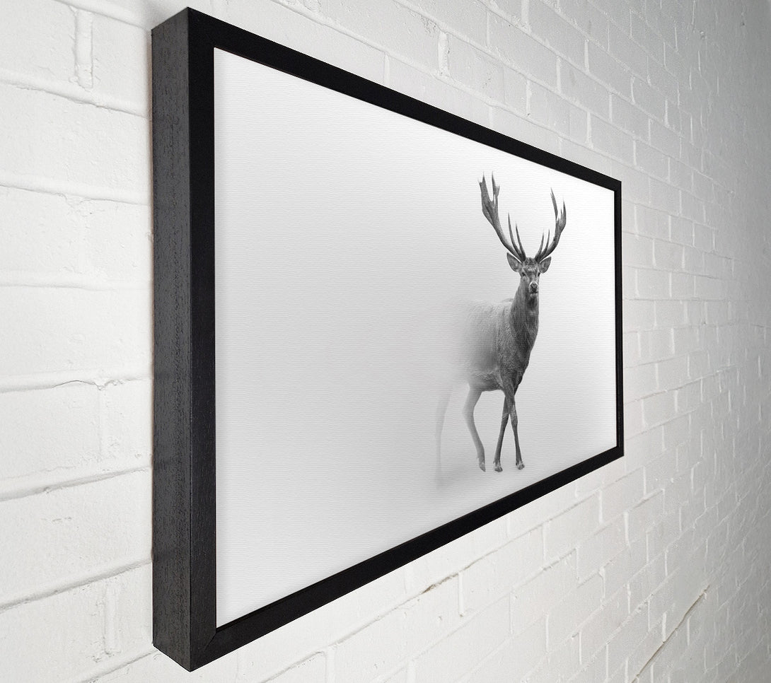  A Canvas Print of Stag In The Mist Canvas Art