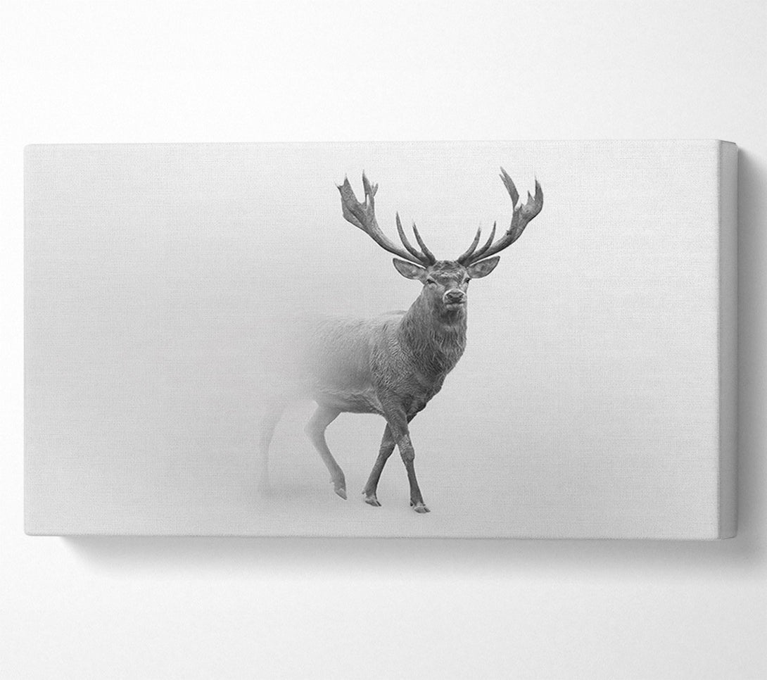  A Canvas Print of Stag In The Mist Canvas Art